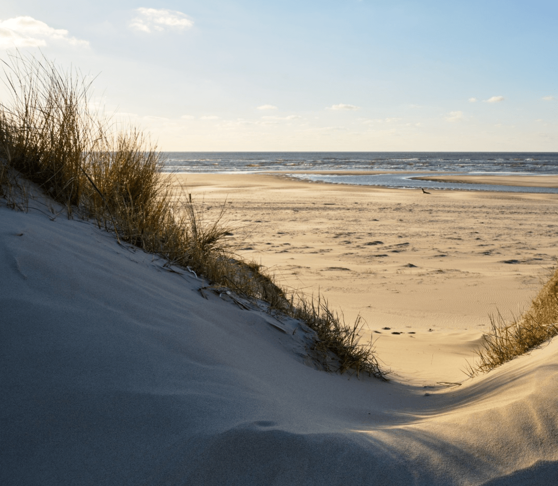 Wandelen_op_texel_2.png